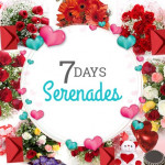 7 Days Valentine Week Full Of Love