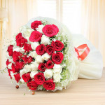 Gorgeous Red & White Blooms